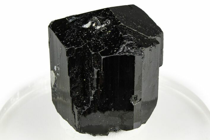 Lustrous Black Tourmaline (Schorl) Crystal - Namibia #373622